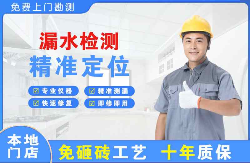 聂拉木漏水检测精准定位